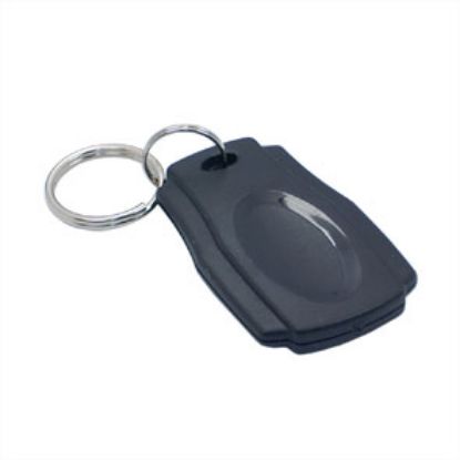 Picture of RFID TAG 13.56MHz W/KEYRING