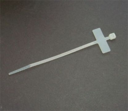 Picture of CABLE TIES / ID TAG 100x2.5mm CLEAR - 100/BAG