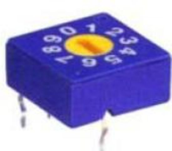 Picture of ROTARY DIP SWITCH 10W R/CODE FLAT