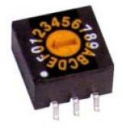Picture of ROTARY DIP SWITCH 10W C/CODE FLT