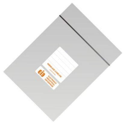 Picture of ZIP SEAL PLASTIC BAG LARGE EIE 160x230mm