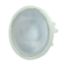 Picture of WIDE BEAM LENS 35MM TRANS HOLD