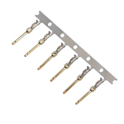 Picture of TERMINAL MALE CRIMP