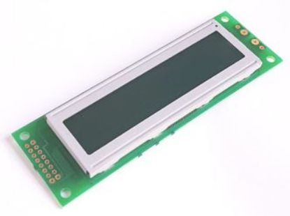 Picture of DIS LCD 24CH 2L 118x36x9.5