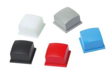 Picture of CAP SWITCH