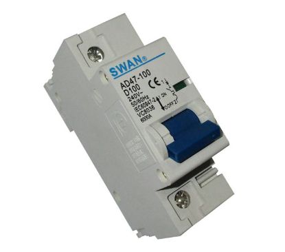 Picture of CIRCUIT BREAKER 10KA D CURVE 1P 100A