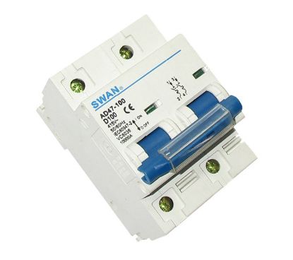 Picture of CIRCUIT BREAKER 10KA D CURVE 2P 100A