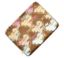 Picture of CARRY CASE LAPTOP 10" GNH-10L