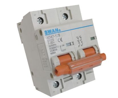 Picture of CIRCUIT BREAKER 2P 125A 6KA D-CURVE