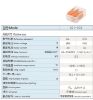 Picture of BRIDGING / SPLICE TERMINAL BLOCK TYPE 2W
