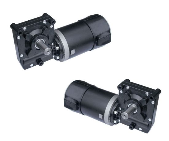 Picture of MOTOR GEARED 12VDC 35A 65RPM 2PCS SET